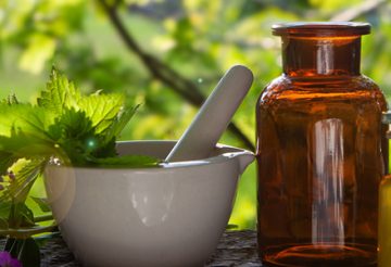 Plantes aromatiques