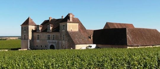 domaine viticole en Bourgogne