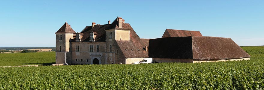 domaine viticole en Bourgogne